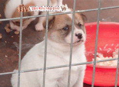 KakaoTalk_20171026_020742534.gif