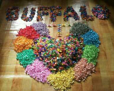 20150131_132927-1-1 (1).jpg