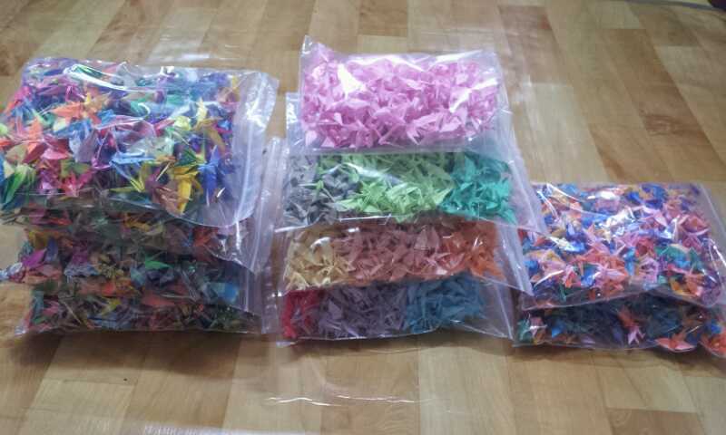 20150131_163904 (1).jpg