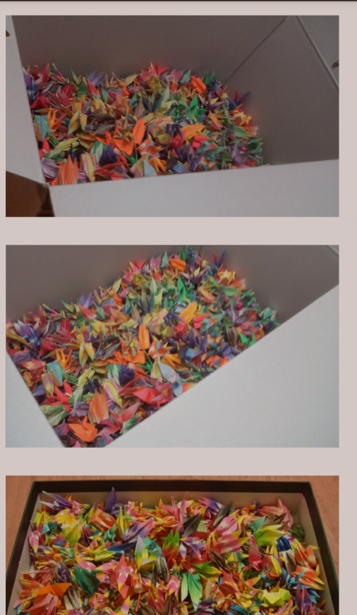 Screenshot_2014-11-01-23-33-03-1.png