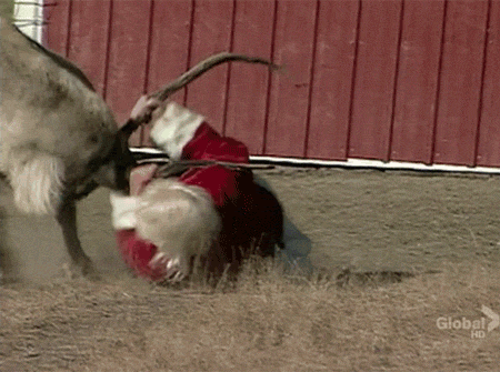 gif.gif