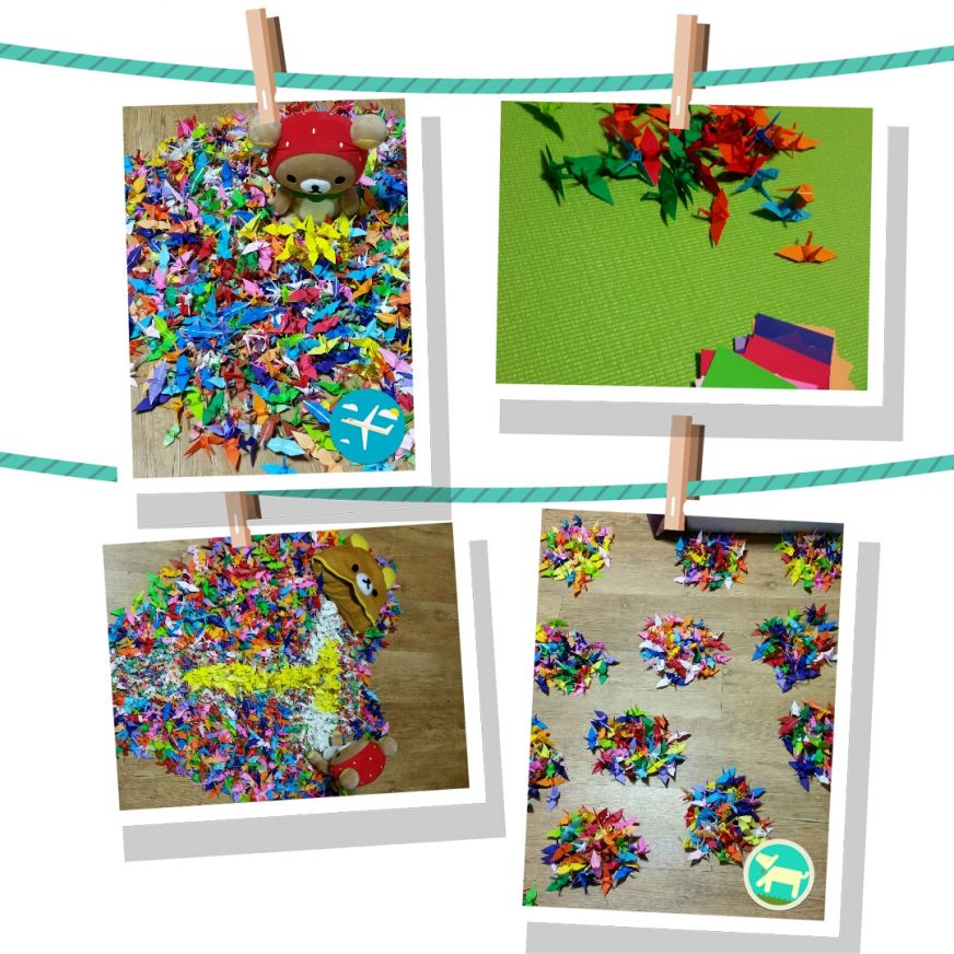 2015-02-05 18.09.07[1].jpg