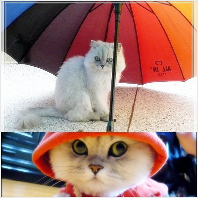 20080825232702_23724251 (1).jpg