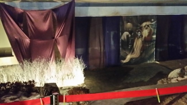 20141224_210857 (1).jpg