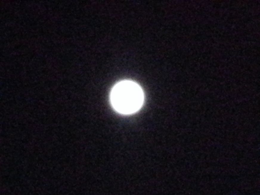 20140908_201124[1].jpg