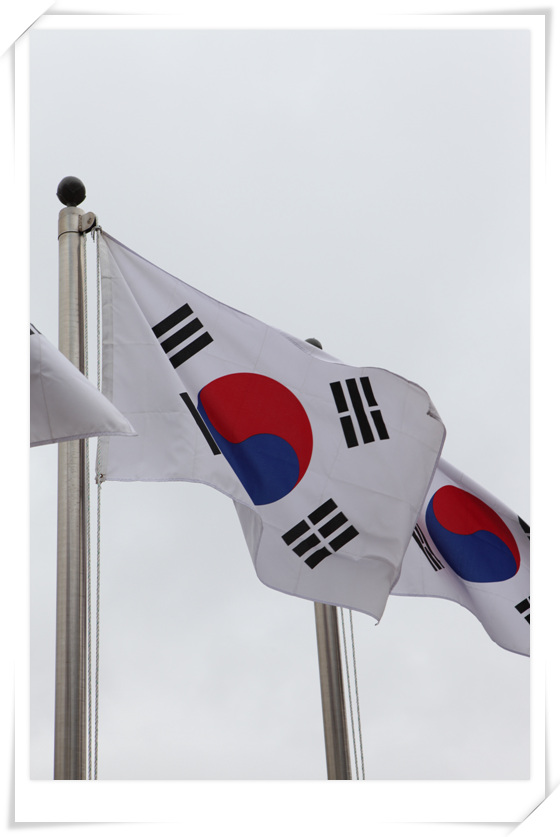 518.jpg