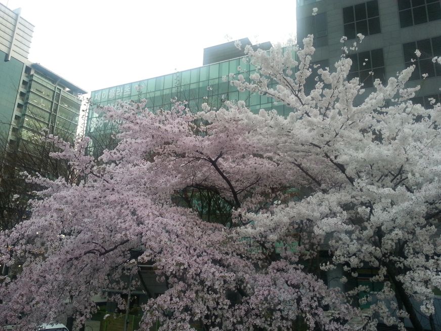 20140401_184416.jpg