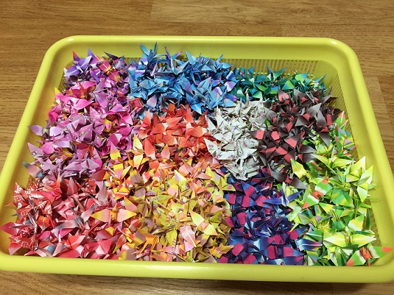 P20150103_232402769_B261C655-6C5B-464D-8279-084A4CBDE71E (1).JPG