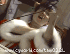 downloadfile-1.gif