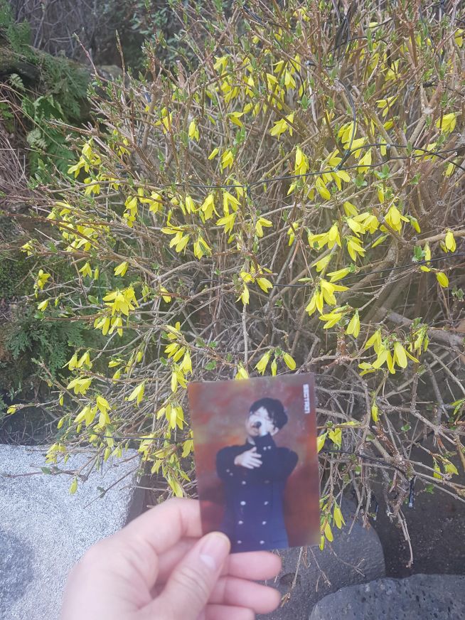 20180401_142808.jpg