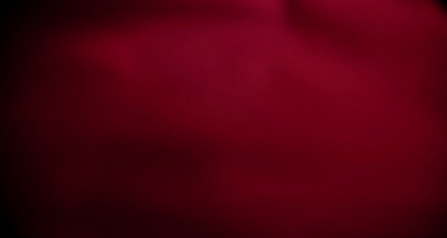 gif.gif