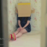 2.gif