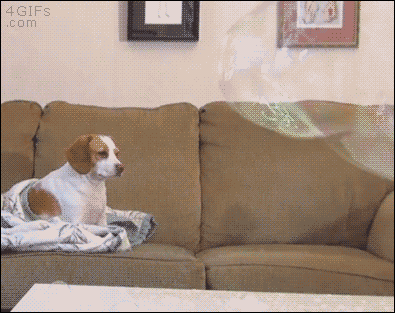 7.gif