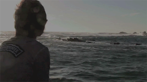 1129446686_497c43c8-1.gif