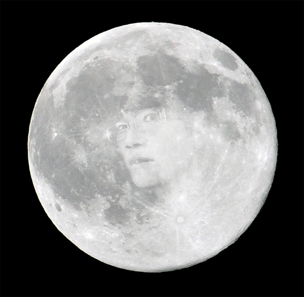 taijimoon.gif