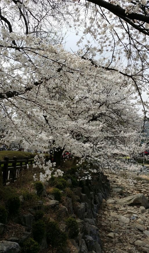 20140405_131528-1[1].jpg